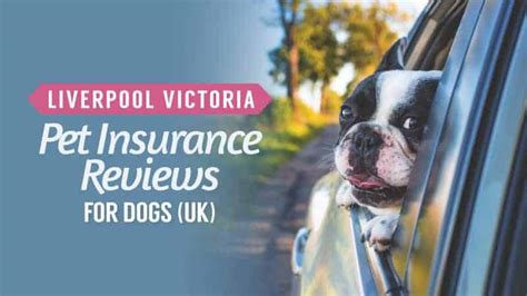 lv travel agency reviews|lv pet insurance reviews uk.